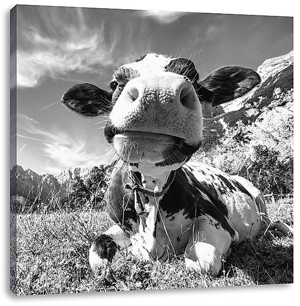 Pixxprint Leinwandbild Kuh im Karwendelgebirge Kunst günstig online kaufen