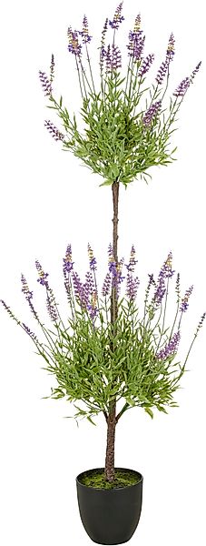 Kunstpflanze Lavendel, Creativ green, Höhe 120 günstig online kaufen