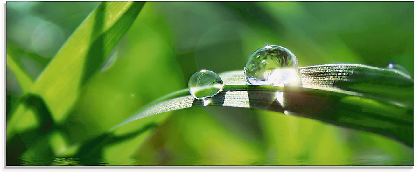 Artland Glasbild "Grüner Hintergrund mit Gras" Gräser 1 Stk. tlg. in versch günstig online kaufen