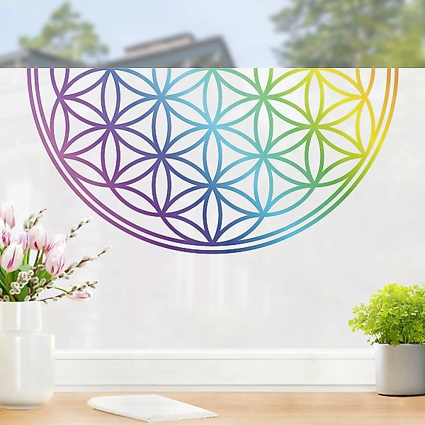 Fensterfolie Blume des Lebens Regenbogenfarbe Bordüre günstig online kaufen
