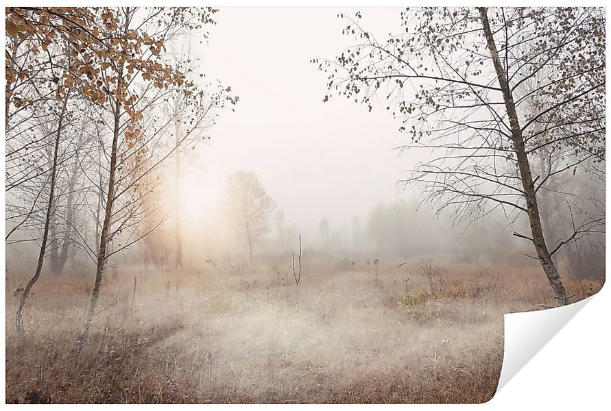 Wallarena Fototapete Wald Nebel Natur Vlies günstig online kaufen
