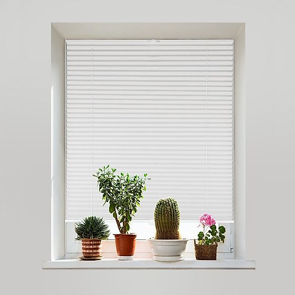Sekey Plissee Faltrollo Faltenstore ohne Bohren, günstig online kaufen