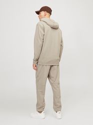 Jack & Jones Kapuzensweatjacke JCOCLOUD SWEAT günstig online kaufen