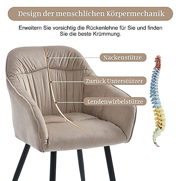 HAUSS SPOLE Esszimmerstuhl 6 St mit günstig online kaufen