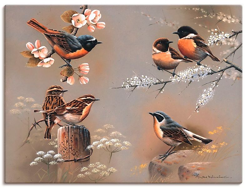 Artland Wandbild "Vogel Komposition", Vögel, (1 St.) günstig online kaufen