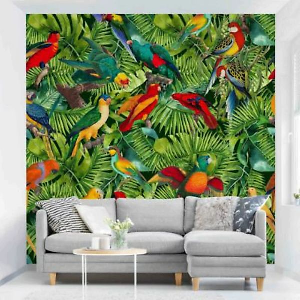 Bilderwelten Fototapete Tiere Bunte Collage - Papageien im Dschungel bunt G günstig online kaufen