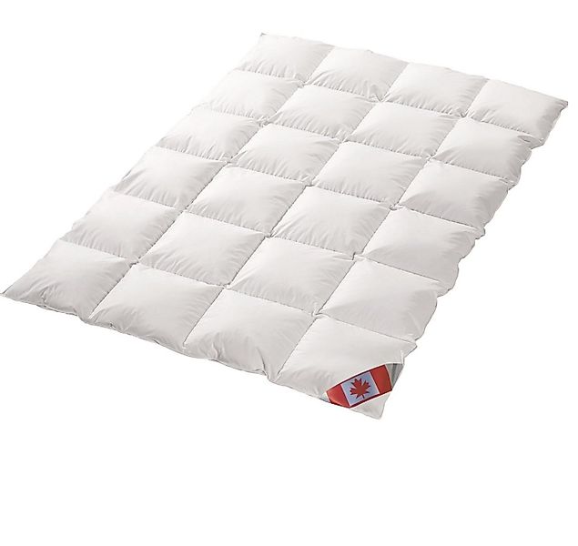 Canada Daunenbettdecke Canada Dreams Luxus Ganzjahres Daunendecke Wärmegrad günstig online kaufen
