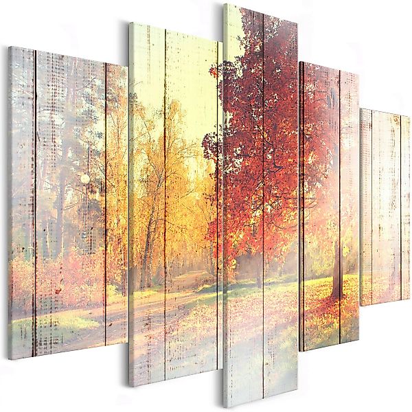 Wandbild - Autumn Sun (5 Parts) Wide günstig online kaufen