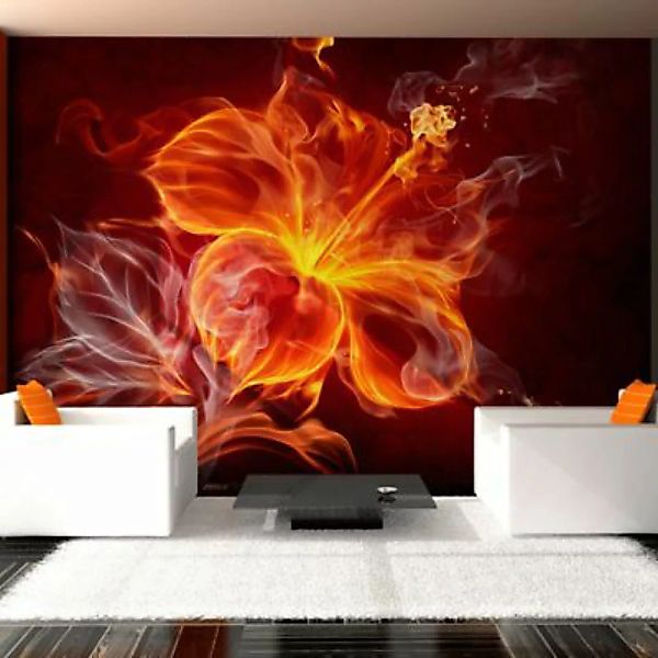 artgeist Fototapete Fiery flower mehrfarbig Gr. 250 x 175 günstig online kaufen