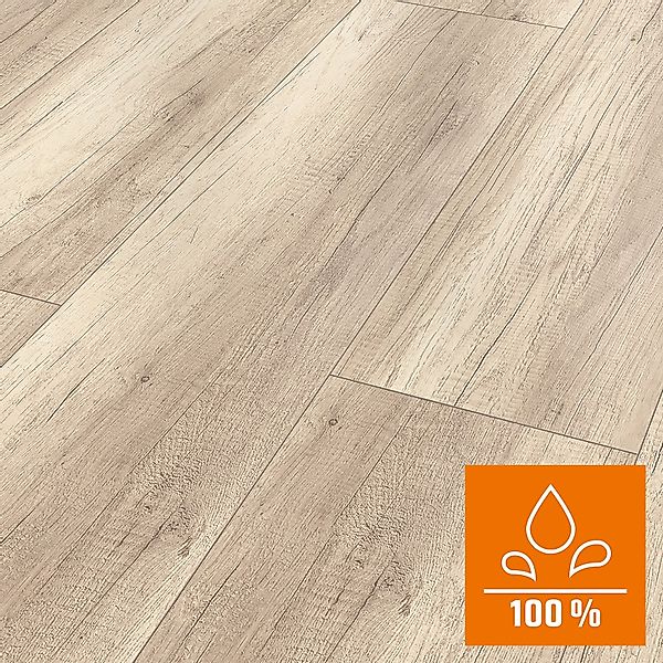 Classen Laminat 8 mm Wasserfest Oak Light Grau günstig online kaufen