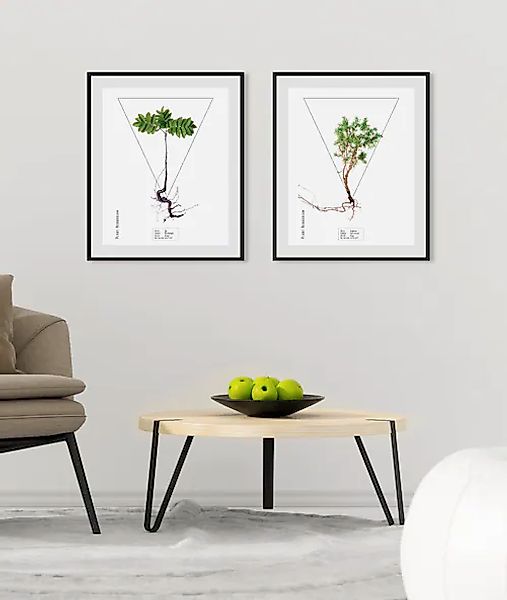 queence Bild »Fem« Pflanzen   Pflanzenbilder   Schriftzug 1 Stk. tlg. HD Pr günstig online kaufen