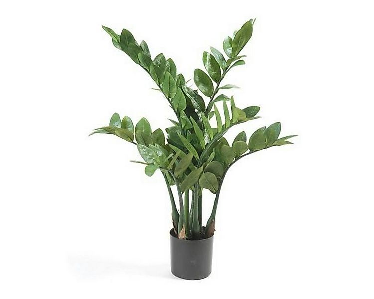 Künstliche Zimmerpflanze Glücksfeder, Emerald, Höhe 70 cm, Künstlich günstig online kaufen