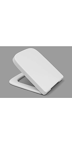 WC-Sitz günstig online kaufen