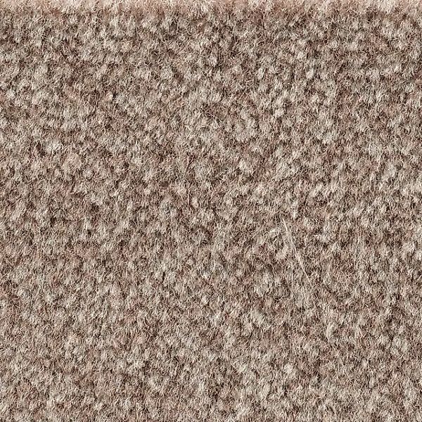 Bodenmeister Teppichboden »Jupiter, Velours - meliert, Made in Belgium«, re günstig online kaufen