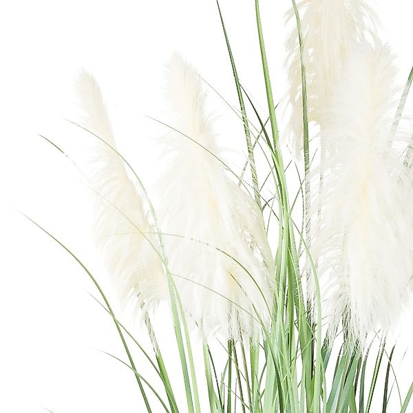 Creativ green Kunstgras »Pampasgras«, mit fünf Pampasgrasblüten günstig online kaufen
