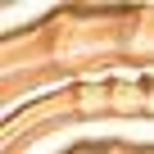 Winterliche Kunstpflanze Weihnachtsdeko Taropflanze, Creativ deco, günstig online kaufen