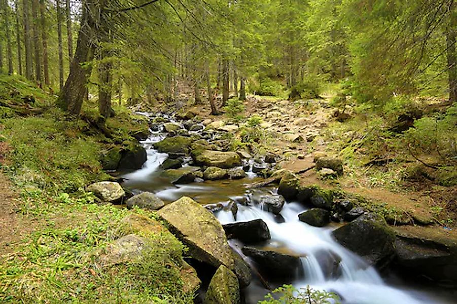 Papermoon Fototapete »Mountain River« glatt günstig online kaufen