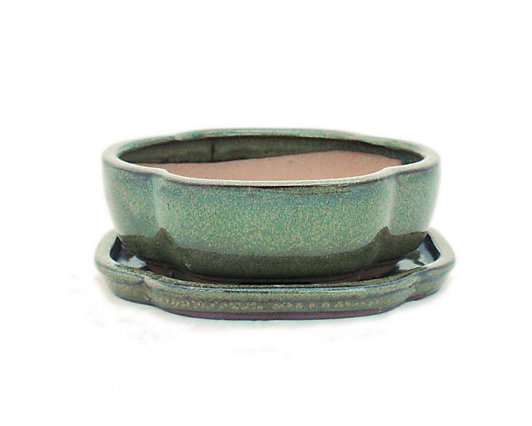 Exotenherz Pflanzschale Bonsai-Schale Unterteller Gr. 3 Oliv-Braun haitang/ günstig online kaufen