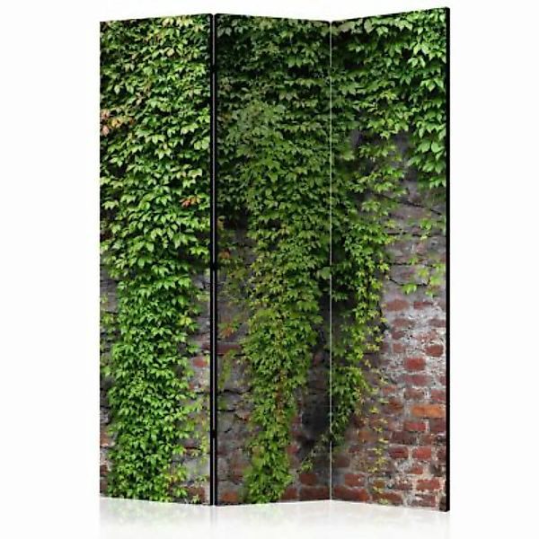 artgeist Paravent Brick and ivy [Room Dividers] rot/grün Gr. 135 x 172 günstig online kaufen