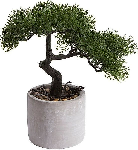 Kunstbonsai Ceder Bonsai Ceder, Botanic-Haus, Höhe 25 cm günstig online kaufen