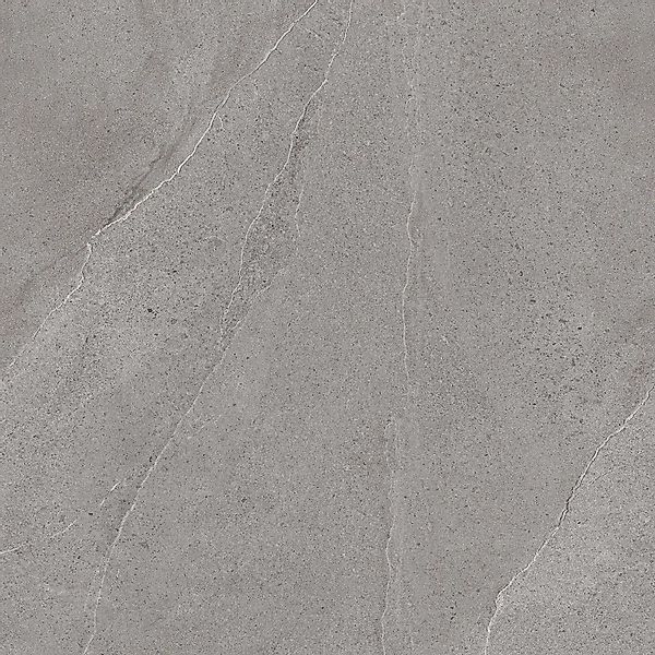 Class Tile Bodenfliese Burlington Feinsteinzeug Grey 80 cm x 80 cm günstig online kaufen