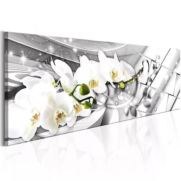 Wandbild - Twisted Orchids günstig online kaufen