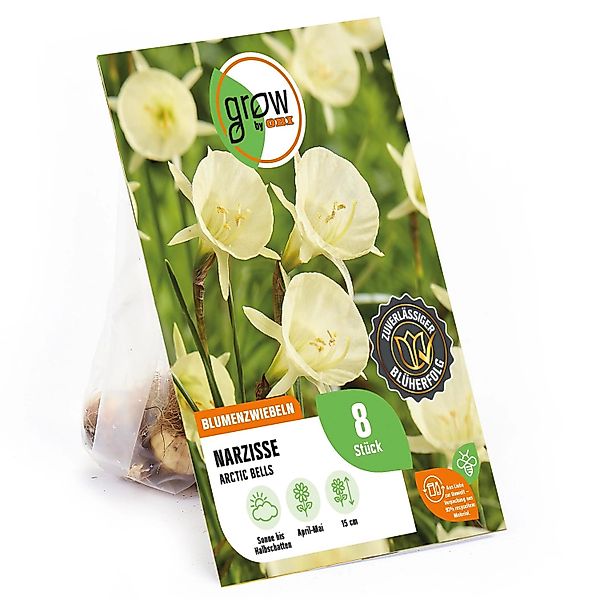 GROW by OBI Narzisse Arctic Bells Creme 8 Stück Narcissus bulbocodium günstig online kaufen