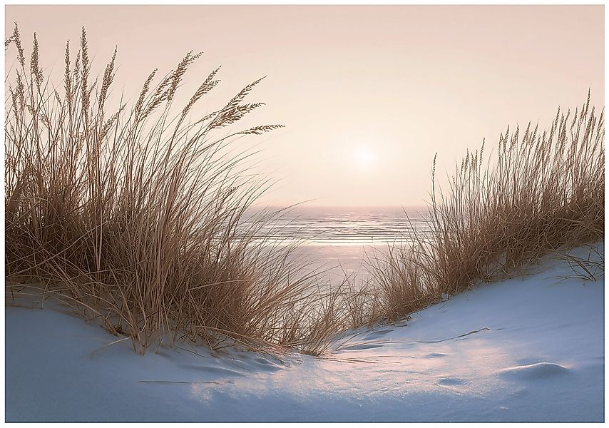 Wallarena Fototapete Strand Natur Ozean Vlies günstig online kaufen