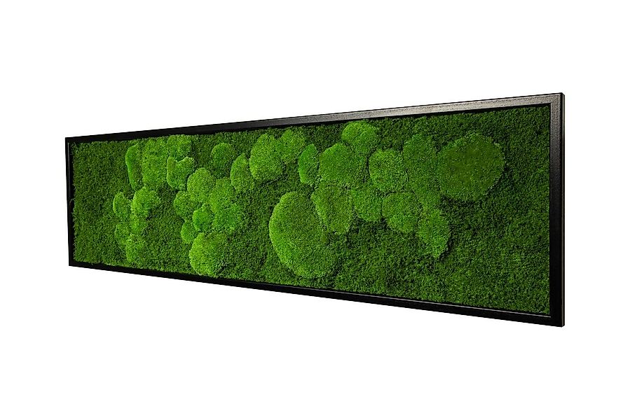 Moos-Design Bild Moosbild Fifty Fifty Design günstig online kaufen