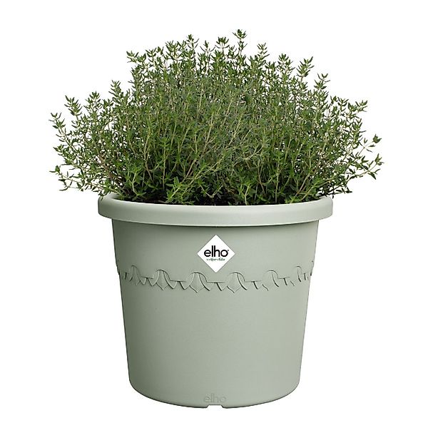 Elho Blumentopf Elho Blumentopf Algarve Cilindro günstig online kaufen