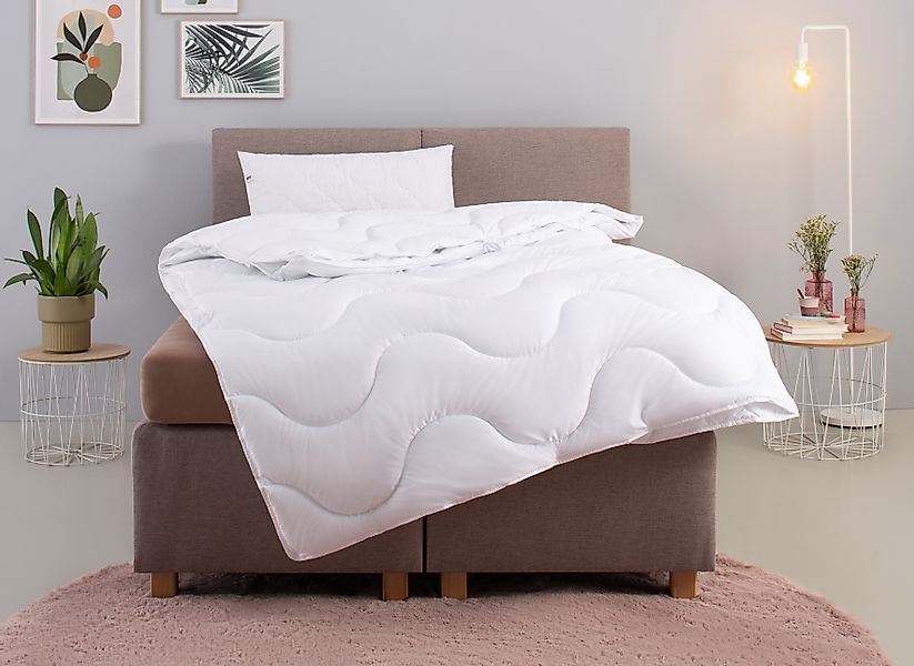 my home Microfaserbettdecke + Microfaserkissen Mailo, günstig online kaufen