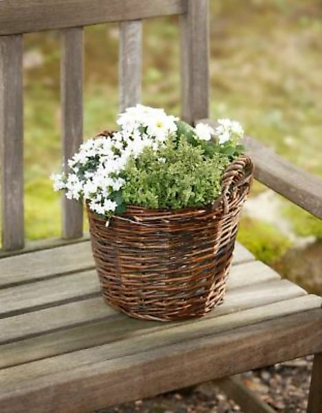 HOME Living Pflanz-Korb SPAR-SET 2x Rustikal Blumentöpfe braun günstig online kaufen