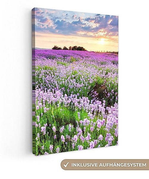 OneMillionCanvasses® Leinwandbild Blumen - Lavendel - Lila - Himmel - Sonne günstig online kaufen