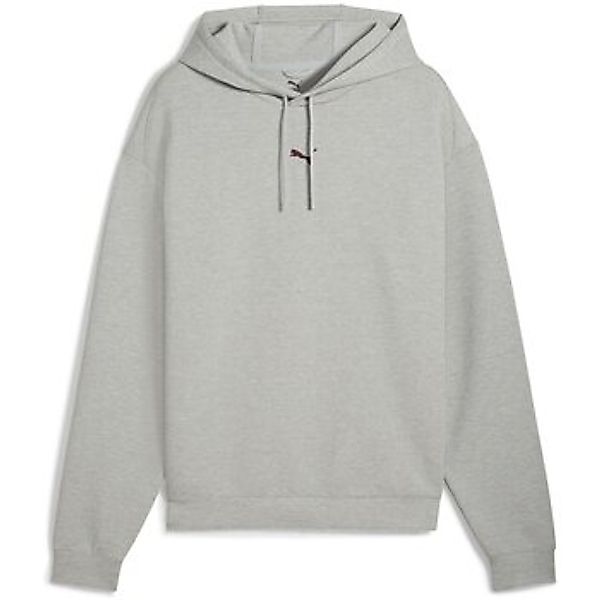 Puma  Pullover Sport M CloudHoodyGray 527595/004 günstig online kaufen