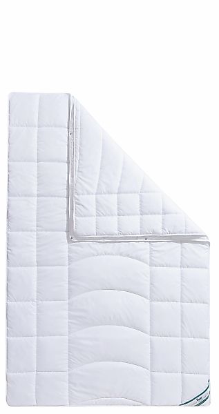 fan Microfaserbettdecke "Warmmax" 4-Jahreszeiten 1 Stk. tlg. kuscheliges Sc günstig online kaufen