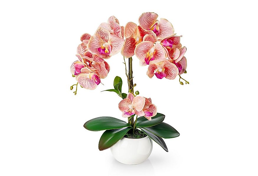 Kunstorchidee PASCH® Orchidee künstlich wie echt (40cm) in Hochglanz-Kerami günstig online kaufen