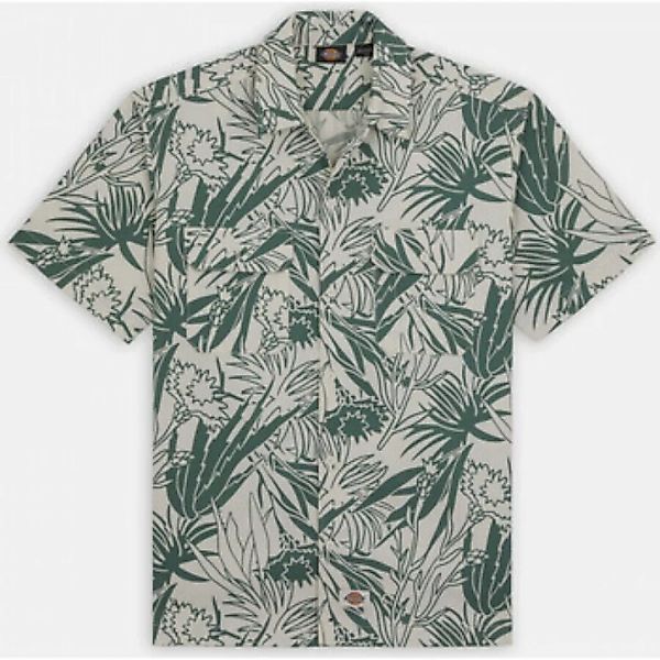 Dickies  Hemdbluse Max meadows shirt ss günstig online kaufen