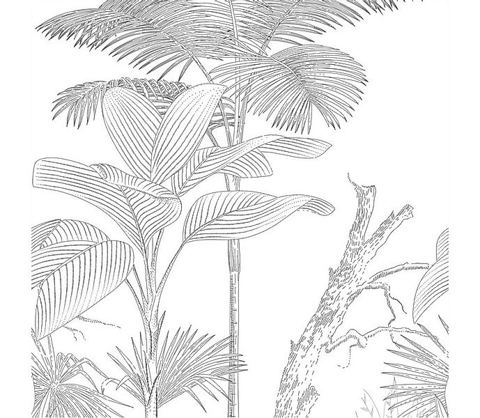 Tadessi Fototapete TADESSI Dschungel M1-No.11628 Tapete Palmen Schwarz Weiß günstig online kaufen