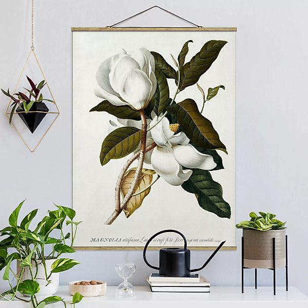 Stoffbild Blumen mit Posterleisten - Hochformat Georg Dionysius Ehret - Mag günstig online kaufen