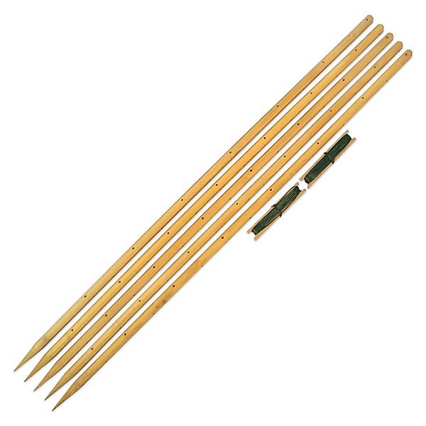 robinia-pro Rankhilfe für Bohnen aus Holz, günstig online kaufen