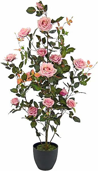 Kunstbaum Rosenbusch im Topf, I.GE.A., Höhe günstig online kaufen