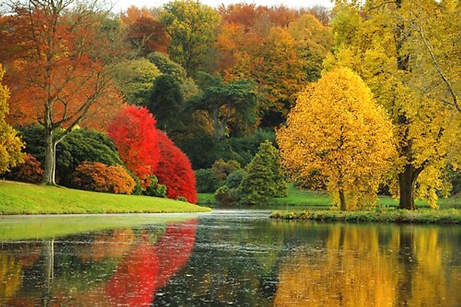 Papermoon Fototapete »Fluss im Wald« günstig online kaufen