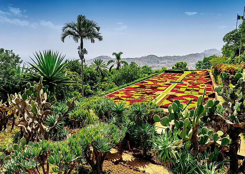 Ravensburger Puzzle Beautiful Gardens, Botanical Garden, günstig online kaufen