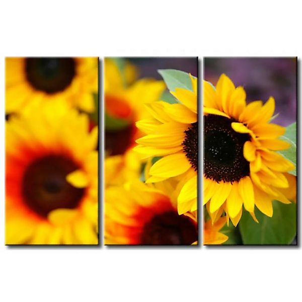 Wandbild Sonnenblumen aus meinem Garten  XXL günstig online kaufen