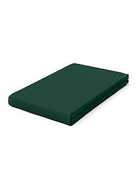 Schlafgut Spannbettlaken »PURE Bio-Baumwolle mit Elasthan, dehnbar blickdic günstig online kaufen