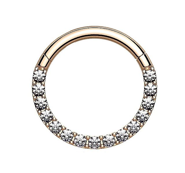 Taffstyle Nasenpiercing Piercing Nase Ohr Segment Ring Scharnier Kristalle, günstig online kaufen