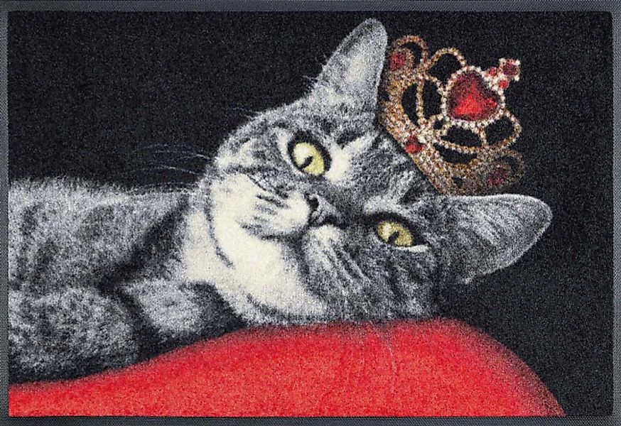 Kleen-Tex Fußmatte Royal Cat günstig online kaufen