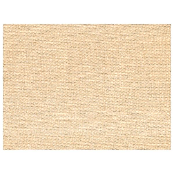 PAPSTAR Tischdecke 100 Tischsets, Papier 30 günstig online kaufen