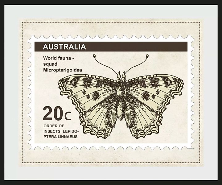 queence Bild "20c", Schmetterlinge, (1 St.) günstig online kaufen
