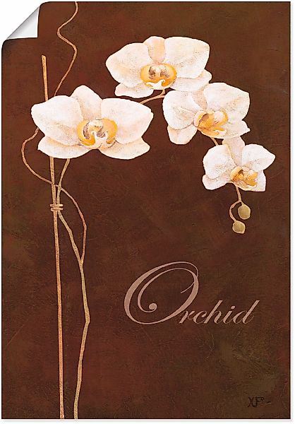 Artland Wandbild "Zarte Orchidee", Blumen, (1 St.), als Leinwandbild, Poste günstig online kaufen